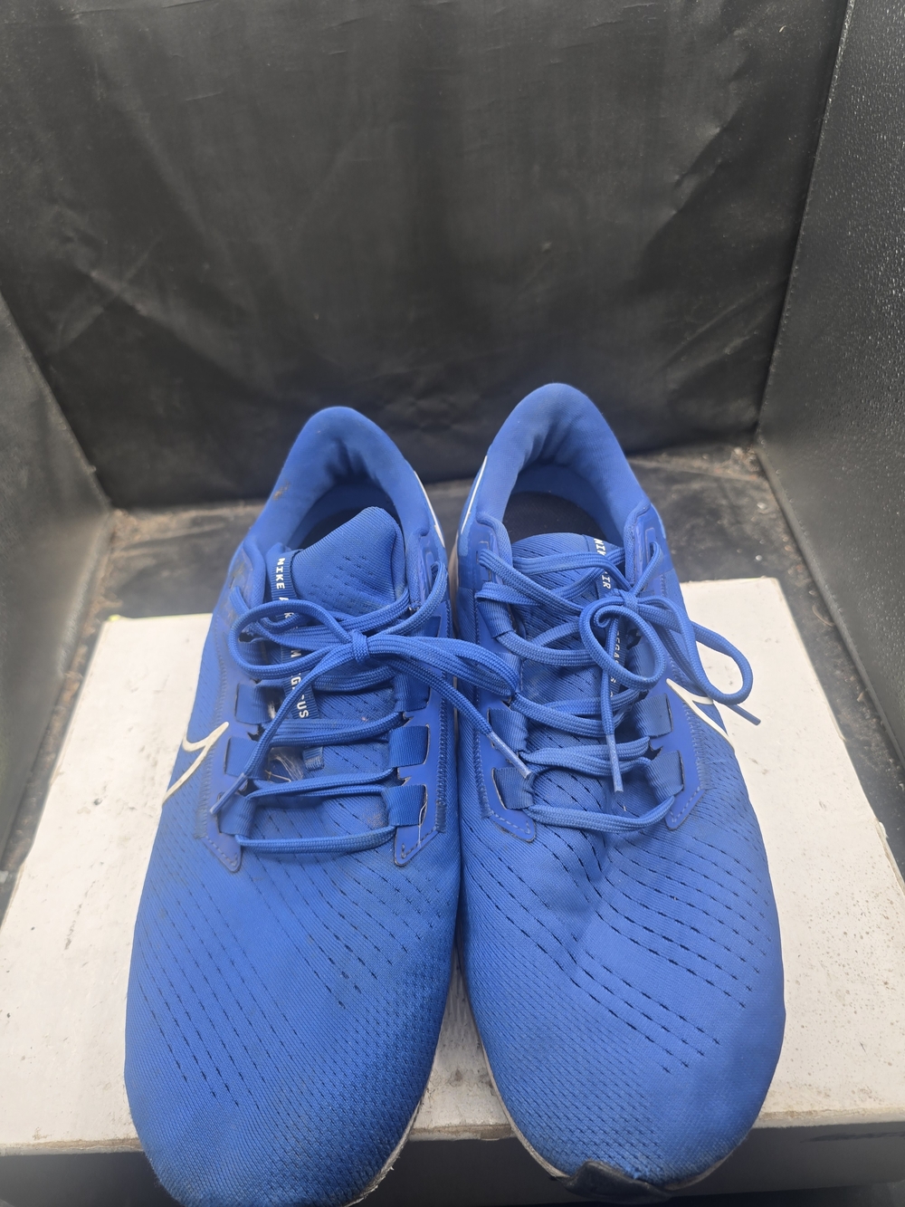 Nike Men's Royal Blue Running Shoes with White Swoosh
